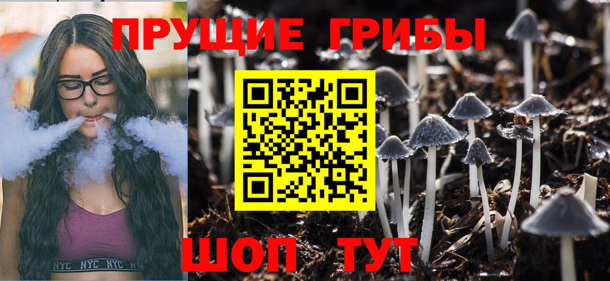 Кимовск  купить наркотик  Вход с VPN  Псилоцибиновые грибы Magic Shrooms 