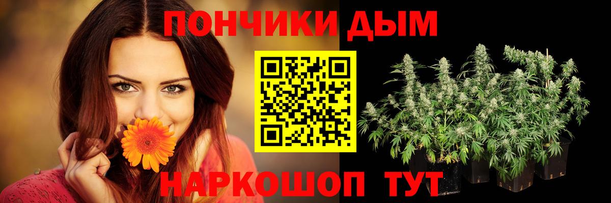 Шишки марихуана семена Кимовск